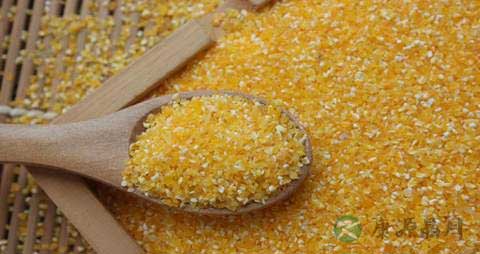 玉米渣的营养价值_吃玉米渣的好处