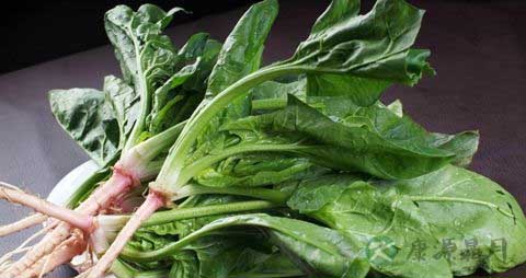 菠菜必须焯水吗