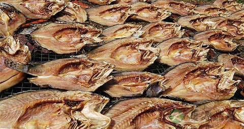 鱼片的营养价值_吃鱼片的好处