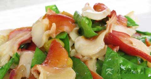 兰花蚌的吃法_哪些人不能吃兰花蚌