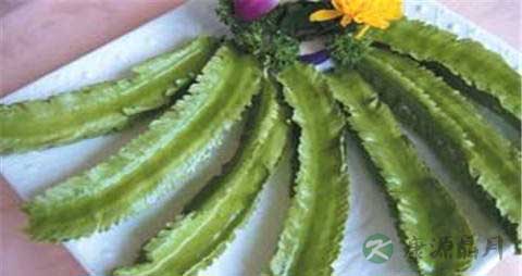 四棱豆的营养价值_吃四棱豆的好处
