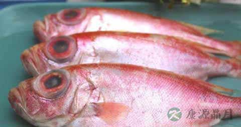 大目鱼的吃法_哪些人不能吃大目鱼