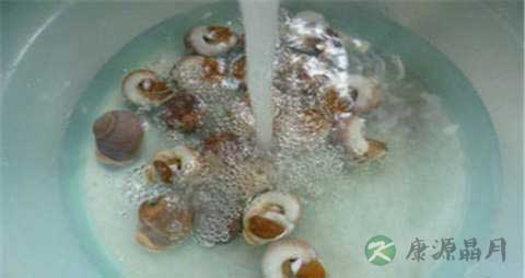 肉螺的吃法_哪些人不能吃肉螺