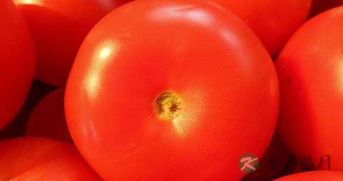 西红柿怎么选