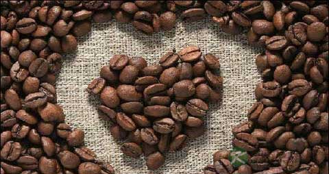 咖啡豆的吃法_哪些人不能吃咖啡豆