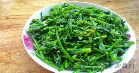 油菜苔的吃法_哪些人不能吃油菜苔 油菜苔的吃法_哪些人不能吃油菜苔