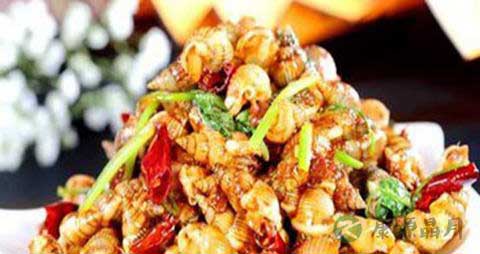 尖波螺的吃法_哪些人不能吃尖波螺