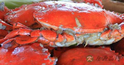 清蒸螃蟹的做法步骤 清蒸螃蟹的做法步骤