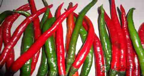 线椒的营养价值_吃线椒的好处