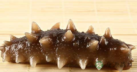 水浸海参的营养价值_吃水浸海参的好处