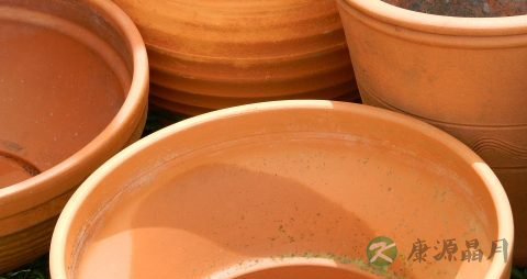 秋葵怎么做不粘 秋葵怎么做不粘