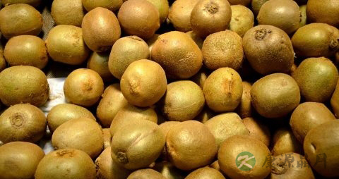 猕猴桃属于哪类水果