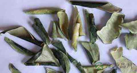 冬瓜皮能治冻疮吗 冬瓜皮能治冻疮吗