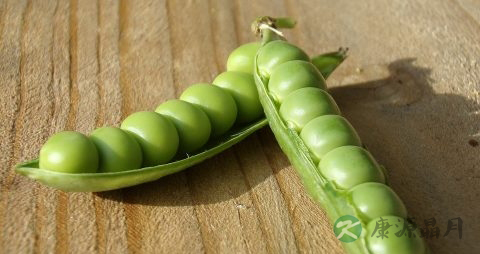 豌豆发芽了还能吃吗