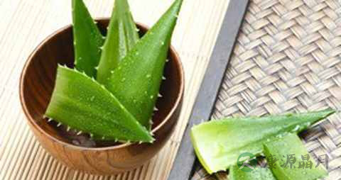 芦荟减肥吗