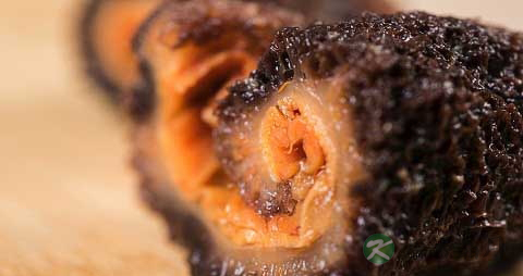 水浸海参的营养价值_吃水浸海参的好处