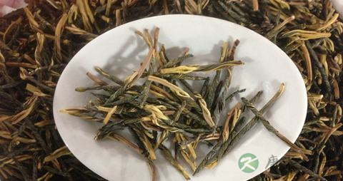苦丁茶的营养价值_吃苦丁茶的好处
