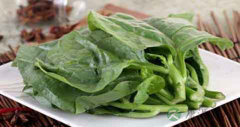 木耳菜的营养价值_吃木耳菜的好处