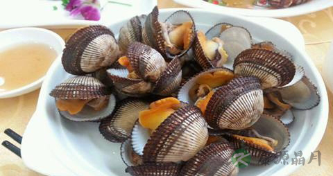 毛蚶能多吃吗 毛蚶能多吃吗