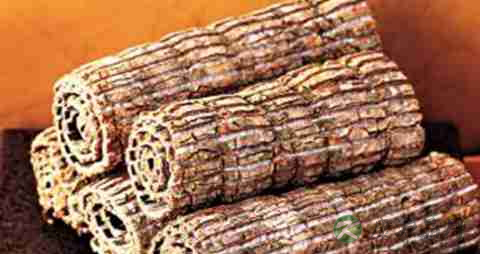 杜仲的吃法_哪些人不能吃杜仲