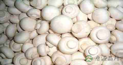 洋菇的营养价值_吃洋菇的好处