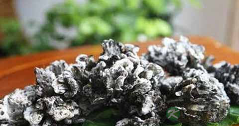 干巴菌的营养价值_吃干巴菌的好处