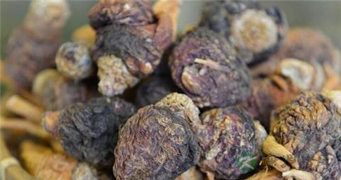 玛咖的吃法_哪些人不能吃玛咖