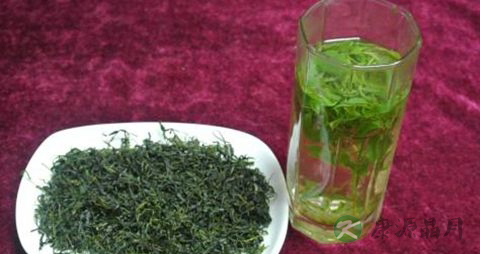 苦丁茶的正确泡法 苦丁茶的正确泡法