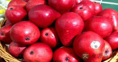 红啤梨的营养价值_吃红啤梨的好处