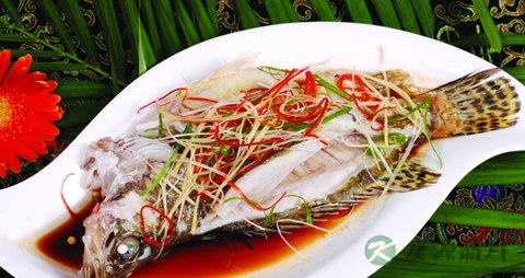 桂鱼的吃法_哪些人不能吃桂鱼