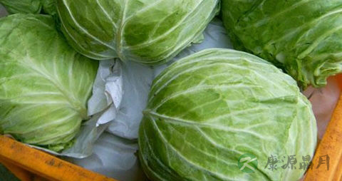 结球甘蓝的吃法_哪些人不能吃结球甘蓝