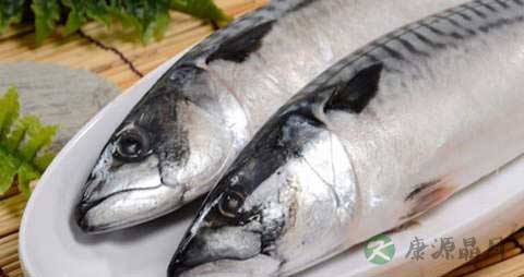 鳕鱼的吃法_哪些人不能吃鳕鱼