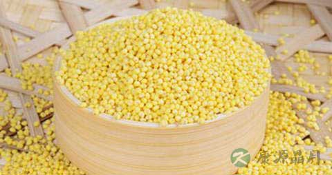 黄米的吃法_哪些人不能吃黄米