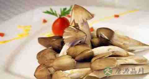 荔枝菌的营养价值_吃荔枝菌的好处