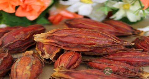 山栀子的吃法_哪些人不能吃山栀子