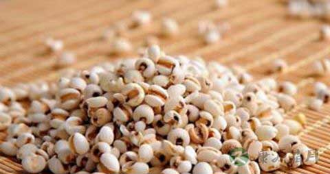 薏米水能长期喝吗