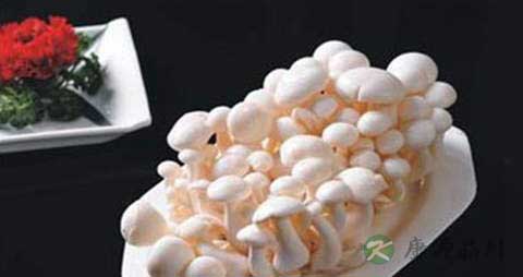 胶玉蘑的营养价值_吃胶玉蘑的好处