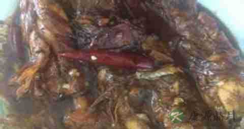 海鲶鱼的吃法_哪些人不能吃海鲶鱼