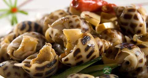 花螺的吃法_哪些人不能吃花螺