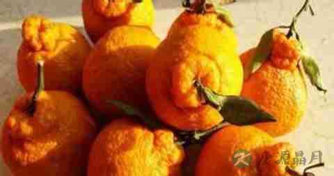 丑橘的营养价值_吃丑橘的好处