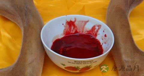 怎么保存新鲜鹿血