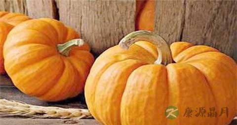 窝瓜和南瓜的区别