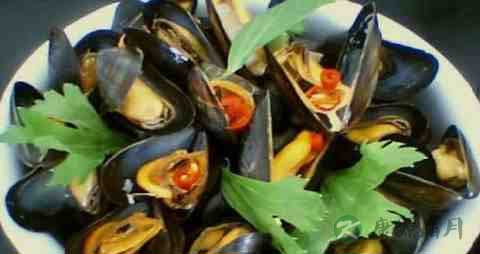 贻贝的营养价值_吃贻贝的好处