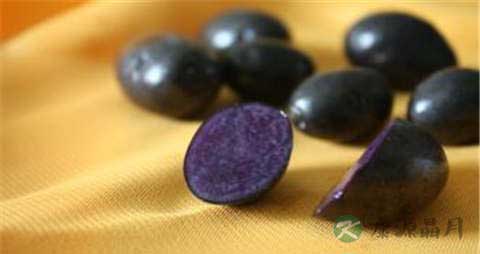 黑土豆的吃法_哪些人不能吃黑土豆