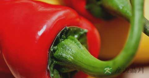 辣椒是什么季节的 辣椒是什么季节的