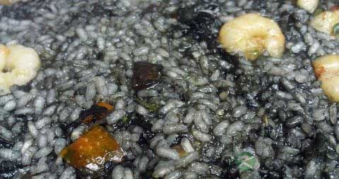 黑米需要浸泡吗 黑米需要浸泡吗