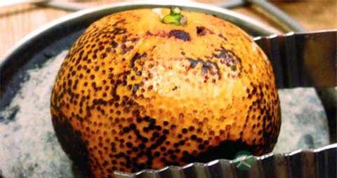 哪些水果可以烤着吃 哪些水果可以烤着吃