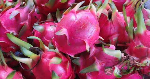 火龙果皮的营养价值_吃火龙果皮的好处