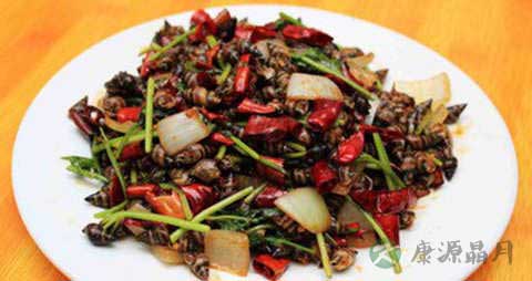 香海螺的吃法_哪些人不能吃香海螺