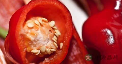 辣椒是什么季节的 辣椒是什么季节的